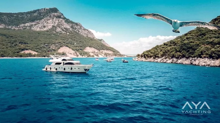 Аренда яхт "AYA Yachting".