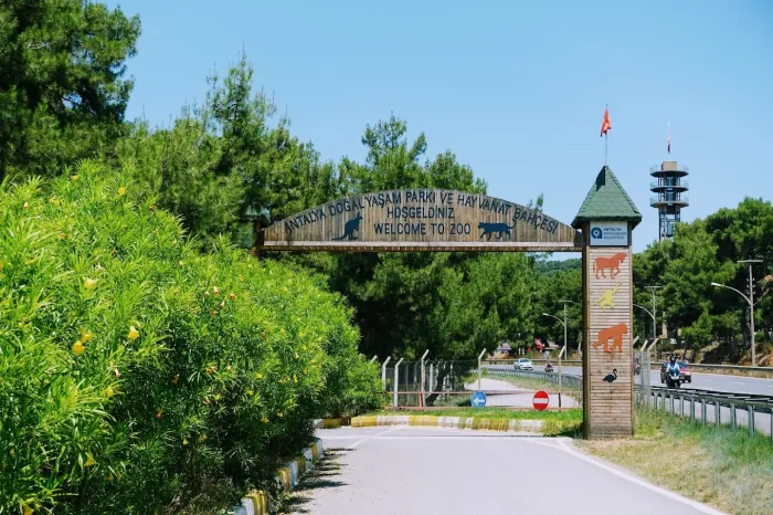 Зоопарк "Antalya Zoo"