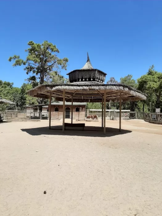 Зоопарк "Antalya Zoo"