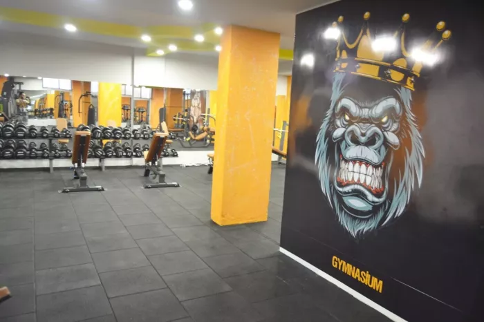 Тренажерный зал "Gymnasium Fitness Club"