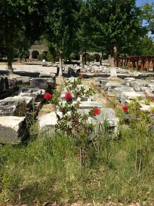Исторический памятник "Перге"