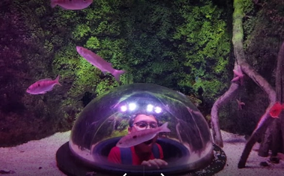 Океанариум "Sea Life"
