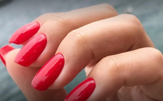 Салон красоты "SOPHIA EXCLUSIVE Nail & Lash Studio"