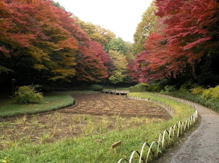 Храм Мэйдзи, 日本