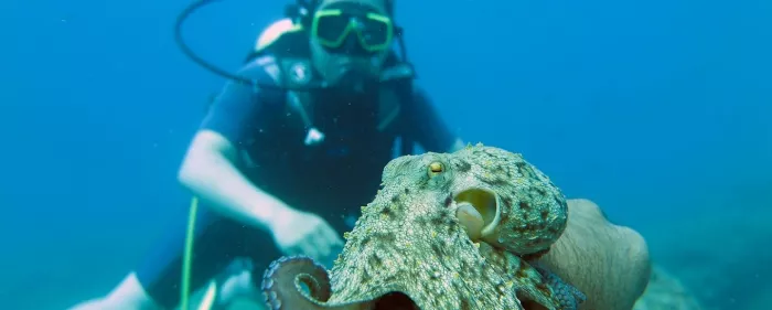Дайвинг-центр "Stingray Diving"