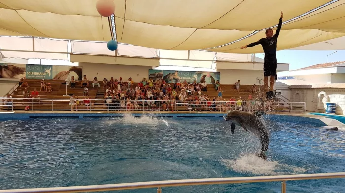 Шоу дельфинов "Aksu Dolphinarium"