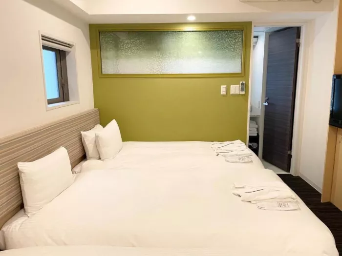Отель - "Ueno Hotel"