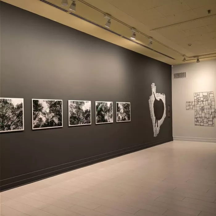 Художественная галерея "Antalya Culture and Arts"