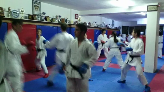 Каратэ "Akdeniz Kaplanlari Karate Ihtisas Spor Kulübü"