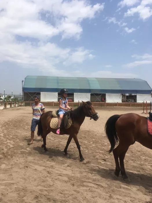 Конный клуб "Antalya Riding and Equestrian Club"