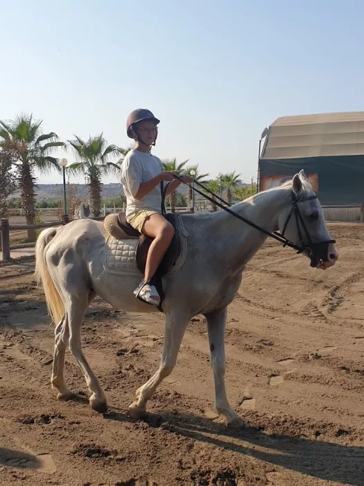 Конный клуб "Antalya Riding and Equestrian Club"