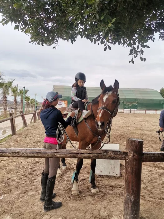 Конный клуб "Antalya Riding and Equestrian Club"