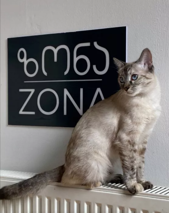 Магазин молодёжной одежды "Zona Concept Store" (ახალგაზრდული ტანსაცმლის მაღაზია "ზონის კონცეფციის მაღაზია")