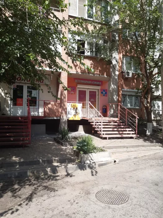 Ветеринарная клиника "Доктор Фламинго"