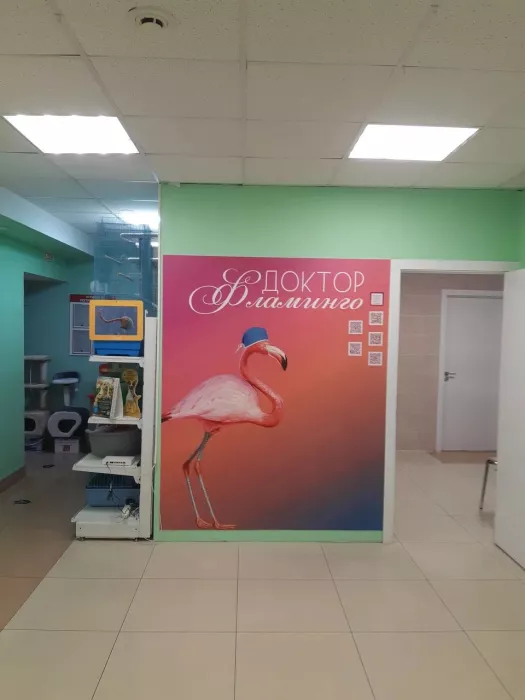 Ветеринарная клиника "Доктор Фламинго"