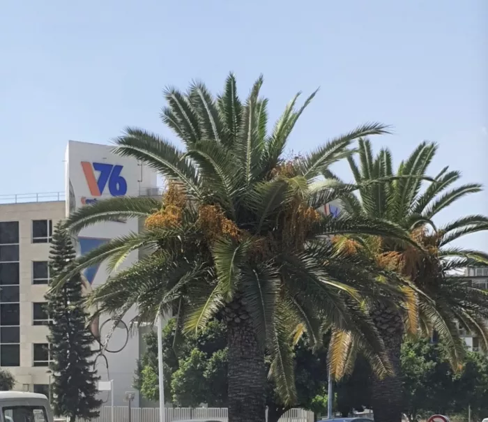Медицинский центр "Vistahermosa76"