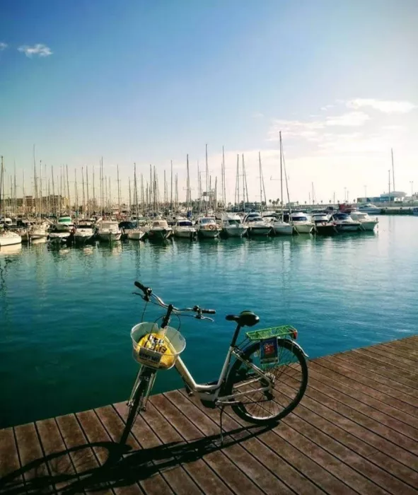 Прокат "Alicante Rental Bikes"