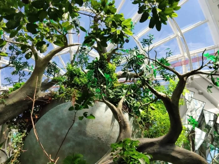 Зоологический музей "The Green Planet"
