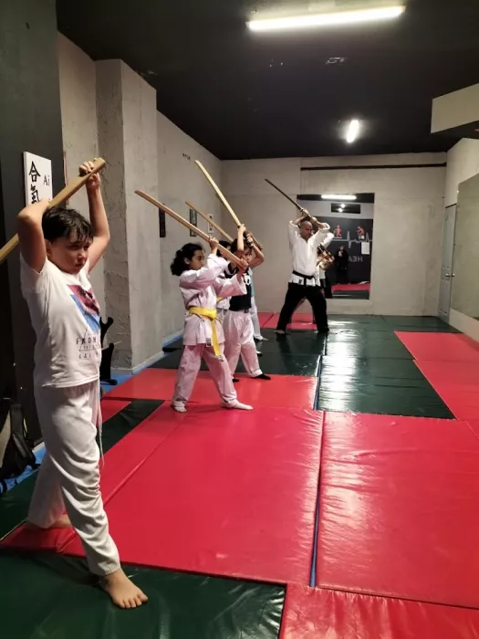 Школа айкидо "Aikido Aikizen Dojo"