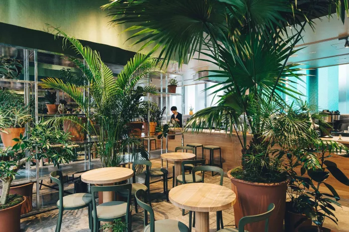 Кофейня - "Switch Coffee Tokyo K5"