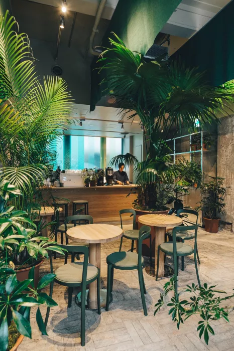 Кофейня - "Switch Coffee Tokyo K5"