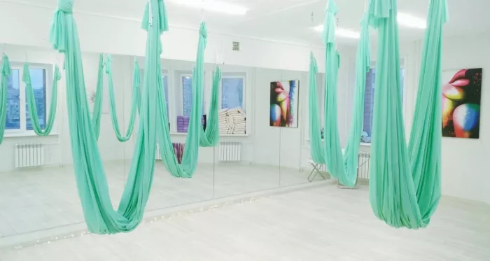 Студия умного фитнеса и аэрофитнеса "Just Fit"