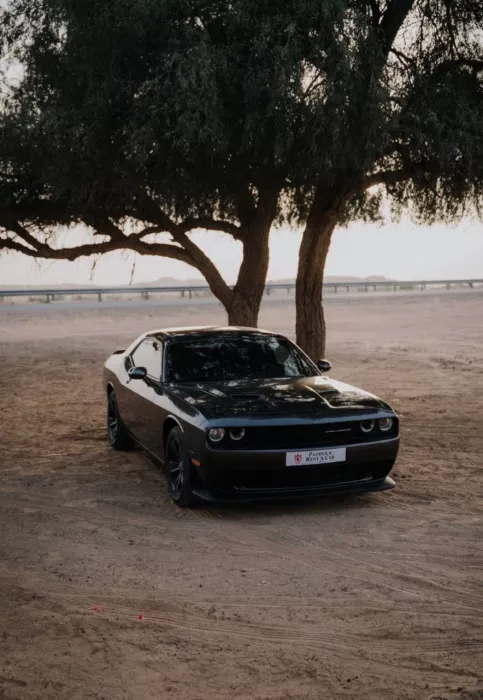 Прокат авто "Vip Auto Rent"