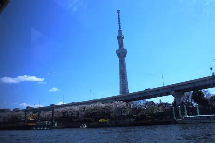 Круиз - Tokyo Cruise (Sumida River)