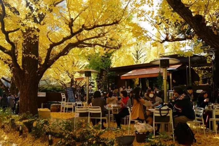 Парк - "Meiji jingu Gaien"