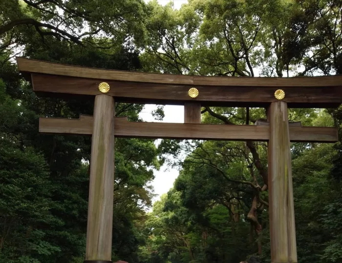 Парк - "Meiji jingu Gaien"