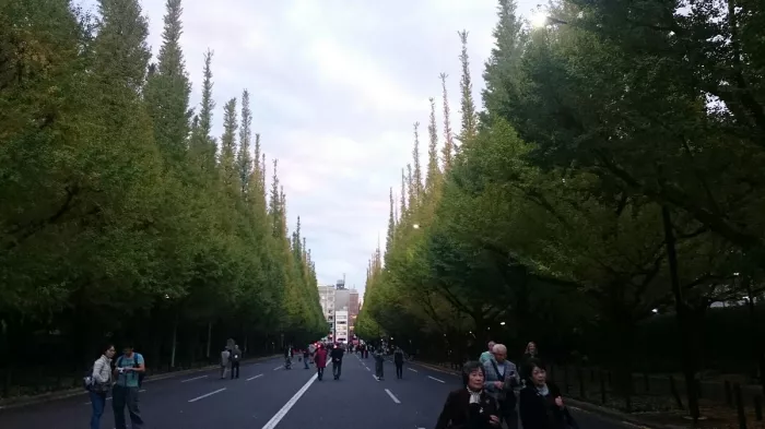 Парк - "Meiji jingu Gaien"