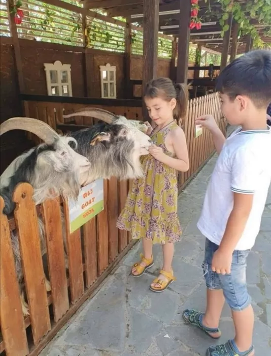 Контактный зоопарк "Zooland" (Zooland Petting ზოოპარკი)