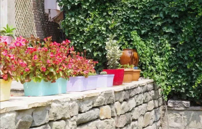 Ресторан "Check-In Garden" (რესტორანი "Check-In Garden")