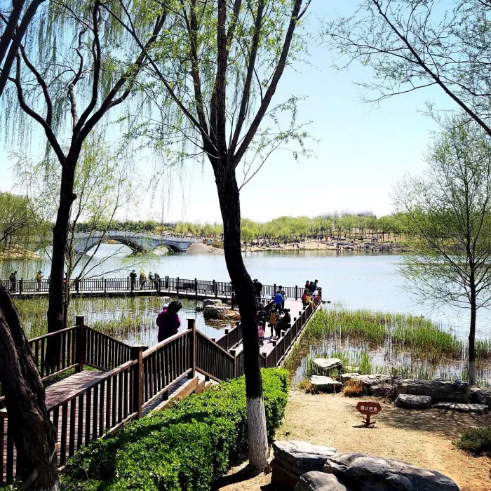 Заповедник «Beijing Nanhaizi Elk Museum»