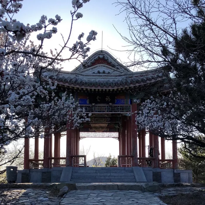 Парк «Fragrant Hills Park (Xiangshan Gongyuan)»