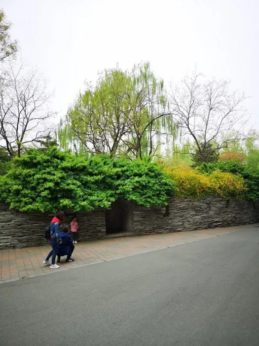 Зоопарк «Beijing Zoo»
