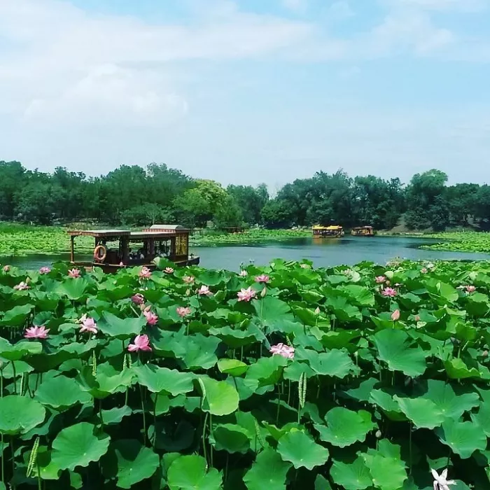 Парк «Old Summer Palace (Yuanmingyuan)»