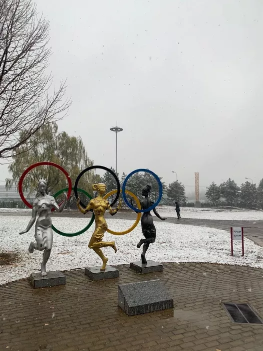 Парк «Olympic Forest Park»