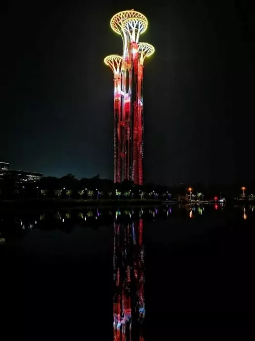Парк «Olympic Forest Park»