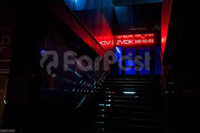 Ночной клуб "Zvook"
