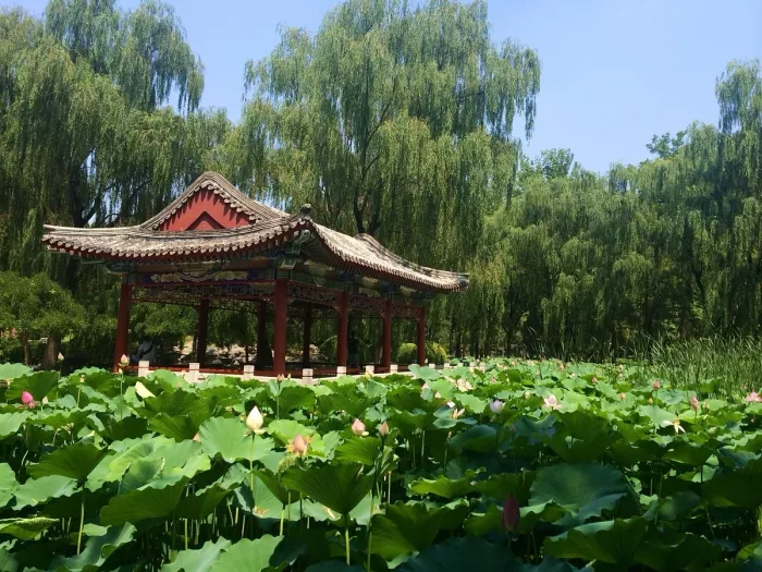 Парк «Ritan Park (Ritan Gongyuan)»