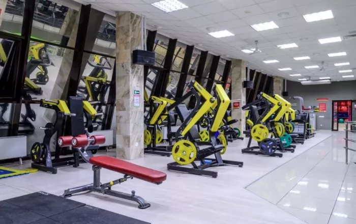 Cеть фитнес-клубов "ALEX FITNESS"