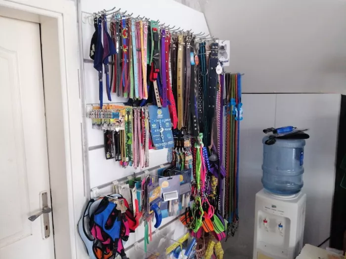 Зоомагазин "Belek Petshop".