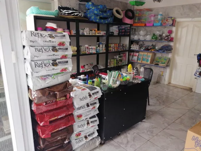 Зоомагазин "Belek Petshop".