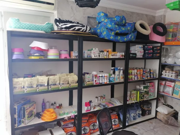 Зоомагазин "Belek Petshop".