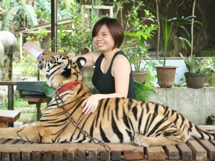 Зоопарк «Zoobic Safari»