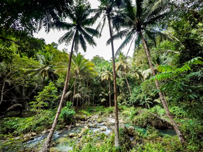 Водопады «Kawasan Falls»