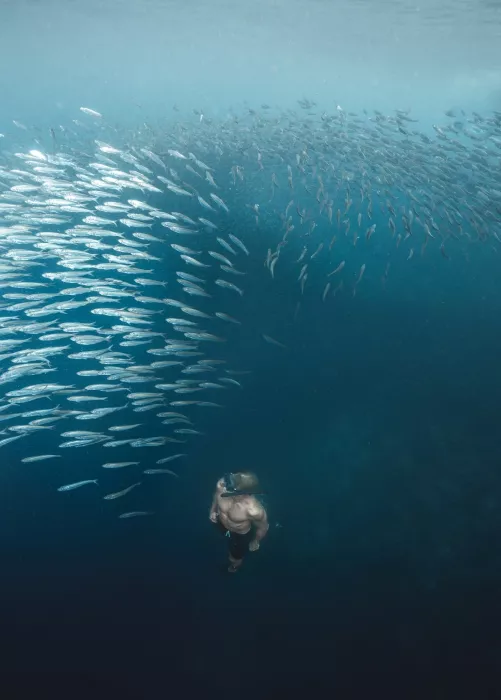 Снорклинг «Moalboal Snorkeling and Free Diving»