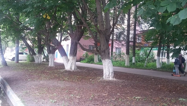 Ветеринарная клиника "ЛапЛандия".