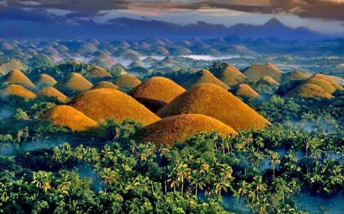 Парк Развлечений «Chocolate Hills Adventure park»